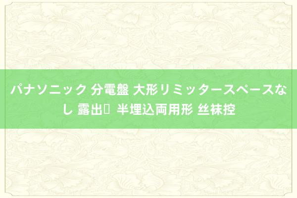 パナソニック 分電盤 大形リミッタースペースなし 露出・半埋込両用形 丝袜控