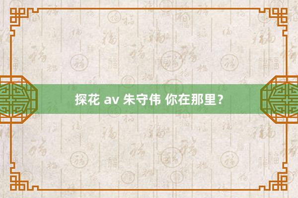 探花 av 朱守伟 你在那里？